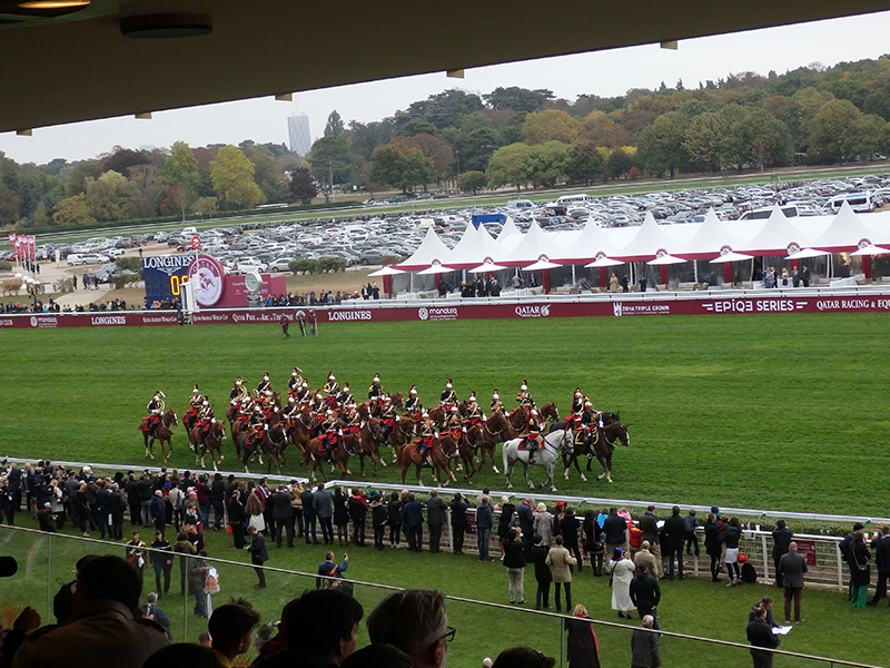 会員研修旅行（国内外の競馬場観戦）