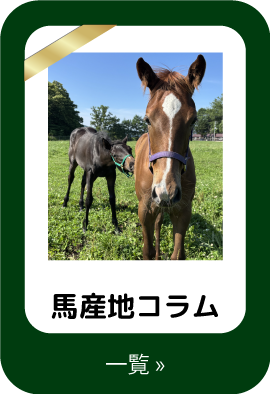 馬産地コラム